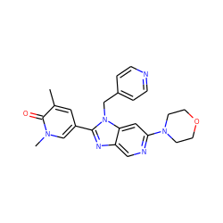 Cc1cc(-c2nc3cnc(N4CCOCC4)cc3n2Cc2ccncc2)cn(C)c1=O ZINC001772642733