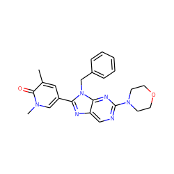 Cc1cc(-c2nc3cnc(N4CCOCC4)nc3n2Cc2ccccc2)cn(C)c1=O ZINC001772597703