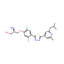 Cc1cc(-c2nnc(-c3cc(F)c(OC[C@H](N)CO)cc3Cl)s2)cc(CC(C)C)n1 ZINC000653754047