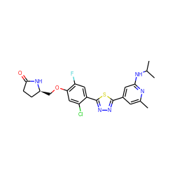 Cc1cc(-c2nnc(-c3cc(F)c(OC[C@H]4CCC(=O)N4)cc3Cl)s2)cc(NC(C)C)n1 ZINC000653762958