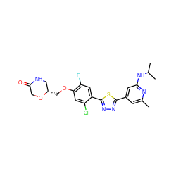 Cc1cc(-c2nnc(-c3cc(F)c(OC[C@H]4CNC(=O)CO4)cc3Cl)s2)cc(NC(C)C)n1 ZINC000653771353