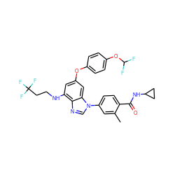 Cc1cc(-n2cnc3c(NCCC(F)(F)F)cc(Oc4ccc(OC(F)F)cc4)cc32)ccc1C(=O)NC1CC1 ZINC000147562457