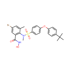 Cc1cc(Br)cc(C(=O)NO)c1N(C)S(=O)(=O)c1ccc(Oc2ccc(C(C)(C)C)cc2)cc1 ZINC000026279075