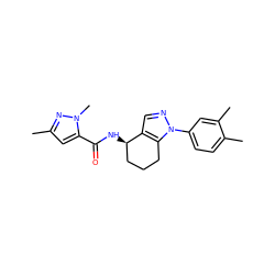 Cc1cc(C(=O)N[C@@H]2CCCc3c2cnn3-c2ccc(C)c(C)c2)n(C)n1 ZINC000012469778