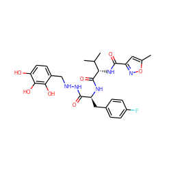 Cc1cc(C(=O)N[C@H](C(=O)N[C@@H](Cc2ccc(F)cc2)C(=O)NNCc2ccc(O)c(O)c2O)C(C)C)no1 ZINC001772608108