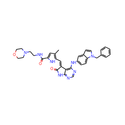 Cc1cc(C(=O)NCCN2CCOCC2)[nH]c1/C=C1\C(=O)Nc2ncnc(Nc3ccc4c(ccn4Cc4ccccc4)c3)c21 ZINC000014944884