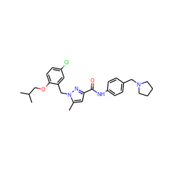 Cc1cc(C(=O)Nc2ccc(CN3CCCC3)cc2)nn1Cc1cc(Cl)ccc1OCC(C)C ZINC000040954877