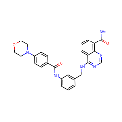 Cc1cc(C(=O)Nc2cccc(CNc3ncnc4c(C(N)=O)cccc34)c2)ccc1N1CCOCC1 ZINC000114349620