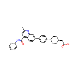 Cc1cc(C(=O)Nc2ccccc2)c2ccc(-c3ccc([C@H]4CC[C@H](CC(=O)O)CC4)cc3)cc2n1 ZINC000261093235