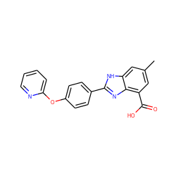 Cc1cc(C(=O)O)c2nc(-c3ccc(Oc4ccccn4)cc3)[nH]c2c1 ZINC000113983258