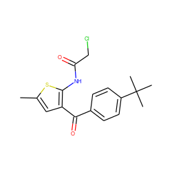 Cc1cc(C(=O)c2ccc(C(C)(C)C)cc2)c(NC(=O)CCl)s1 ZINC000000415516