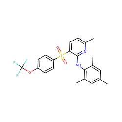 Cc1cc(C)c(Nc2nc(C)ccc2S(=O)(=O)c2ccc(OC(F)(F)F)cc2)c(C)c1 ZINC000028568994