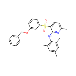 Cc1cc(C)c(Nc2nc(C)ccc2S(=O)(=O)c2cccc(OCc3ccccc3)c2)c(C)c1 ZINC000028569000