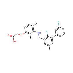 Cc1cc(CNc2c(C)ccc(OCC(=O)O)c2C)c(F)c(-c2cccc(F)c2)c1 ZINC000218876759