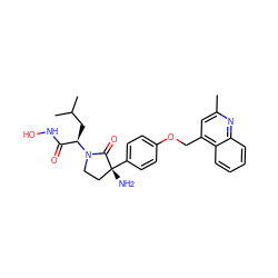 Cc1cc(COc2ccc([C@]3(N)CCN([C@H](CC(C)C)C(=O)NO)C3=O)cc2)c2ccccc2n1 ZINC000053178284