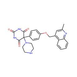 Cc1cc(COc2ccc(C3(N4CCNCC4)C(=O)NC(=O)NC3=O)cc2)c2ccccc2n1 ZINC000028472157