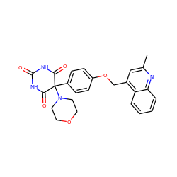 Cc1cc(COc2ccc(C3(N4CCOCC4)C(=O)NC(=O)NC3=O)cc2)c2ccccc2n1 ZINC000028472669