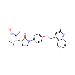 Cc1cc(COc2ccc(N3CC[C@H]([C@@H](C(=O)NO)N(C)C)C3=O)cc2)c2ccccc2n1 ZINC000013490345