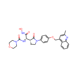 Cc1cc(COc2ccc(N3CC[C@H]([C@H](NC(=O)N4CCOCC4)C(=O)NO)C3=O)cc2)c2ccccc2n1 ZINC000026163488