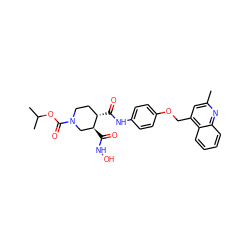 Cc1cc(COc2ccc(NC(=O)[C@H]3CCN(C(=O)OC(C)C)C[C@@H]3C(=O)NO)cc2)c2ccccc2n1 ZINC000013587722