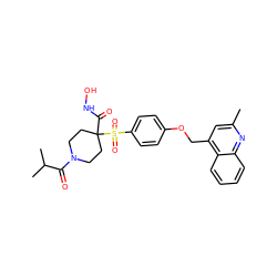 Cc1cc(COc2ccc(S(=O)(=O)C3(C(=O)NO)CCN(C(=O)C(C)C)CC3)cc2)c2ccccc2n1 ZINC000040974938