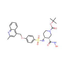 Cc1cc(COc2ccc(S(=O)(=O)N[C@@H]3CCN(C(=O)OC(C)(C)C)C[C@@H]3C(=O)NO)cc2)c2ccccc2n1 ZINC000138575387