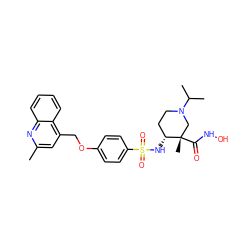 Cc1cc(COc2ccc(S(=O)(=O)N[C@@H]3CCN(C(C)C)C[C@]3(C)C(=O)NO)cc2)c2ccccc2n1 ZINC000143303230