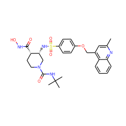 Cc1cc(COc2ccc(S(=O)(=O)N[C@@H]3CN(C(=O)NC(C)(C)C)CC[C@@H]3C(=O)NO)cc2)c2ccccc2n1 ZINC000138590393