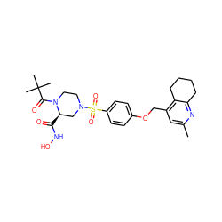 Cc1cc(COc2ccc(S(=O)(=O)N3CCN(C(=O)C(C)(C)C)[C@H](C(=O)NO)C3)cc2)c2c(n1)CCCC2 ZINC001772610989