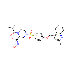 Cc1cc(COc2ccc(S(=O)(=O)N3CCN(C(=O)C(C)C)[C@H](C(=O)NO)C3)cc2)c2c(n1)CCCC2 ZINC001772576735