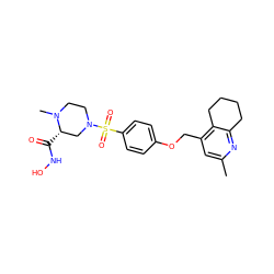 Cc1cc(COc2ccc(S(=O)(=O)N3CCN(C)[C@@H](C(=O)NO)C3)cc2)c2c(n1)CCCC2 ZINC001772594080