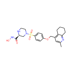 Cc1cc(COc2ccc(S(=O)(=O)N3CCN[C@H](C(=O)NO)C3)cc2)c2c(n1)CCCC2 ZINC001772658214