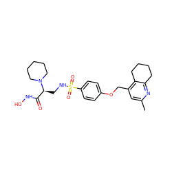 Cc1cc(COc2ccc(S(=O)(=O)NC[C@@H](C(=O)NO)N3CCCCC3)cc2)c2c(n1)CCCC2 ZINC001772590262