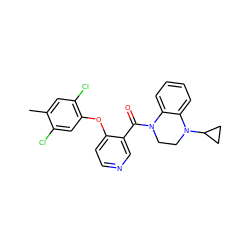 Cc1cc(Cl)c(Oc2ccncc2C(=O)N2CCN(C3CC3)c3ccccc32)cc1Cl ZINC000095574672