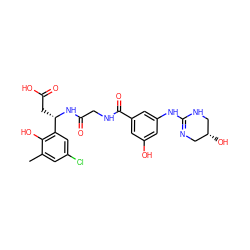 Cc1cc(Cl)cc([C@H](CC(=O)O)NC(=O)CNC(=O)c2cc(O)cc(NC3=NC[C@@H](O)CN3)c2)c1O ZINC000028714304