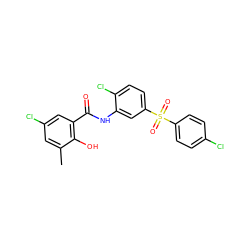 Cc1cc(Cl)cc(C(=O)Nc2cc(S(=O)(=O)c3ccc(Cl)cc3)ccc2Cl)c1O ZINC000027431196