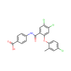 Cc1cc(Cl)ccc1Oc1cc(Cl)c(Cl)cc1C(=O)Nc1ccc(C(=O)O)cc1 ZINC000143194548