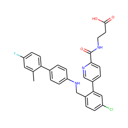 Cc1cc(F)ccc1-c1ccc(NCc2ccc(Cl)cc2-c2ccc(C(=O)NCCC(=O)O)nc2)cc1 ZINC000148613097