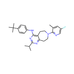 Cc1cc(F)cnc1N1CCc2nc(C(C)C)nc(Nc3ccc(C(C)(C)C)cc3)c2CC1 ZINC000145221956