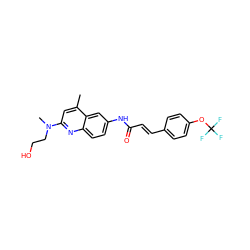 Cc1cc(N(C)CCO)nc2ccc(NC(=O)/C=C/c3ccc(OC(F)(F)F)cc3)cc12 ZINC000013671993