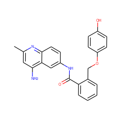 Cc1cc(N)c2cc(NC(=O)c3ccccc3COc3ccc(O)cc3)ccc2n1 ZINC000013835522