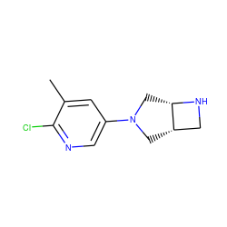 Cc1cc(N2C[C@H]3CN[C@H]3C2)cnc1Cl ZINC000028866057