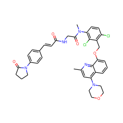 Cc1cc(N2CCOCC2)c2cccc(OCc3c(Cl)ccc(N(C)C(=O)CNC(=O)/C=C/c4ccc(N5CCCC5=O)cc4)c3Cl)c2n1 ZINC000026579220