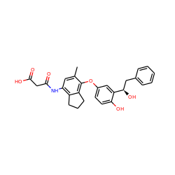 Cc1cc(NC(=O)CC(=O)O)c2c(c1Oc1ccc(O)c([C@H](O)Cc3ccccc3)c1)CCC2 ZINC000095595538