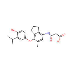 Cc1cc(NC(=O)CC(=O)O)c2c(c1Oc1ccc(O)c(C(C)C)c1)CCC2 ZINC000003817460