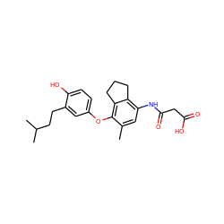 Cc1cc(NC(=O)CC(=O)O)c2c(c1Oc1ccc(O)c(CCC(C)C)c1)CCC2 ZINC000095598317