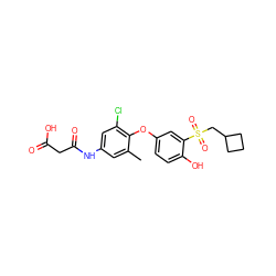 Cc1cc(NC(=O)CC(=O)O)cc(Cl)c1Oc1ccc(O)c(S(=O)(=O)CC2CCC2)c1 ZINC000038453646