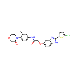 Cc1cc(NC(=O)COc2ccc3[nH]c(-c4ccc(Cl)s4)nc3c2)ccc1N1CCOCC1=O ZINC000027204254