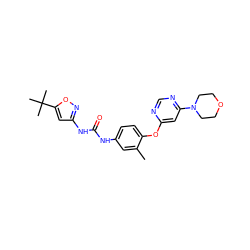 Cc1cc(NC(=O)Nc2cc(C(C)(C)C)on2)ccc1Oc1cc(N2CCOCC2)ncn1 ZINC001772616746