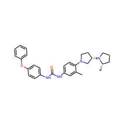 Cc1cc(NC(=O)Nc2ccc(Oc3ccccc3)cc2)ccc1N1CC[C@H](N2CCC[C@@H]2C)C1 ZINC000096270459